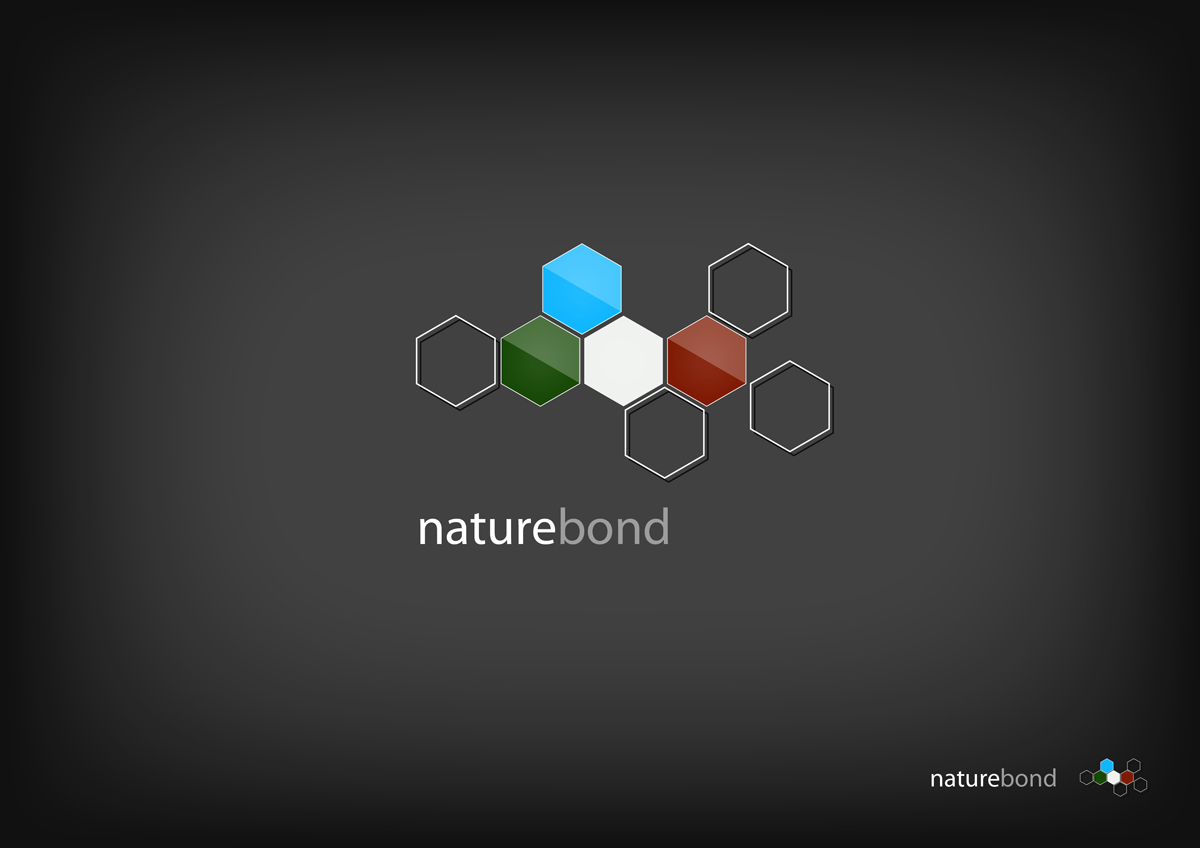 Logo Design by CREATIVE_seán for this project | Design #933972