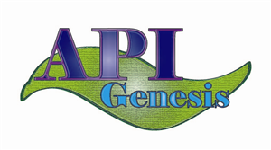 Logo Design by NetworkSW Consulting