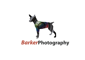 Logo Design by Satrah Graphic Design