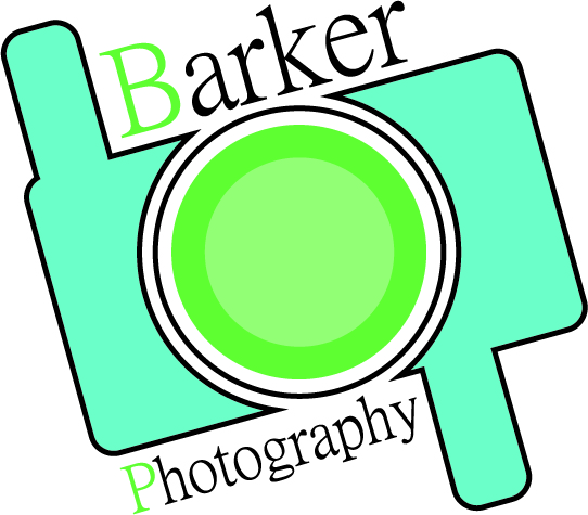 Logo-Design von paul für dieses Projekt | Design #105210