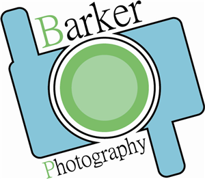 Logo Design by paul