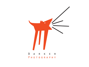 Logo Design by ningmon