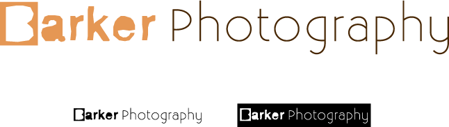 Design de Logo par Matthew Johns pour ce projet | Design #103466