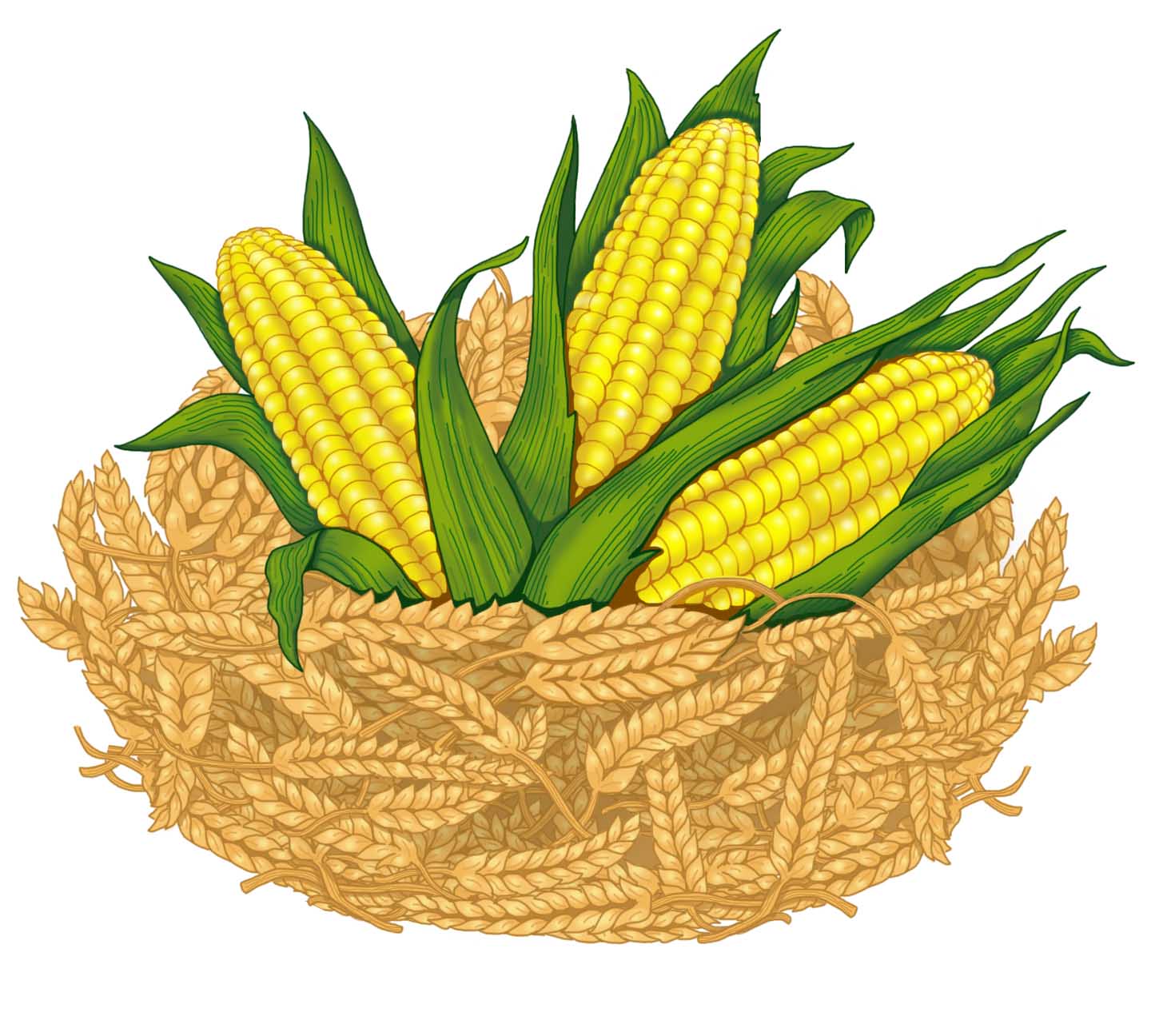 Illustration-Design von WendieB illustration & Design für Rd square | Design #946203