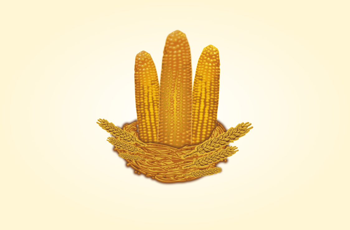 Illustration Design by Giovanni for Rd square | Design #930914