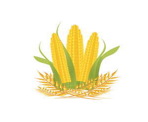 Illustration Design by Giovanni for Rd square | Design #931119