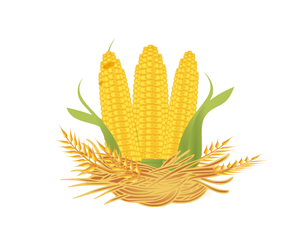 Illustration Design by Giovanni for Rd square | Design: #936486