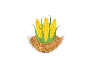 Illustration Design by Anna-Maria for Rd square | Design: #936534