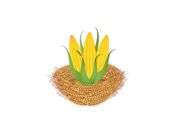 Illustration Design by Anna-Maria for Rd square | Design #936605