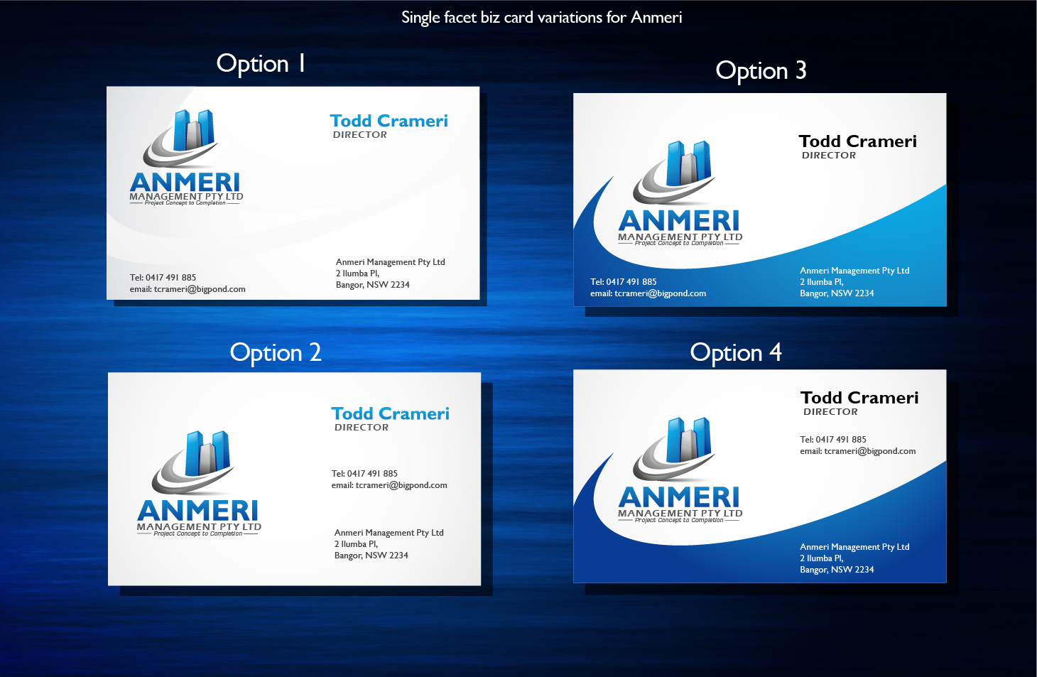 Logo Design by ashusax for Anmeri Management | Design: #981992