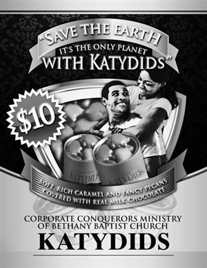 Katydids Fundraiser | Diseño de Flyer por disign