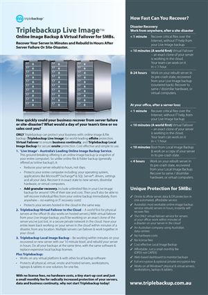 Brochure Design by JayTee for Triplebackup | Design: #953698