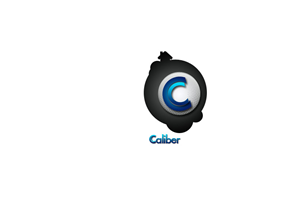 Logo Design by FREEDOMLOGO