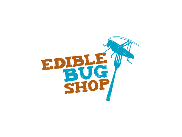 Logo Design by Hoopoe for Butterfly Skye | Design #965475