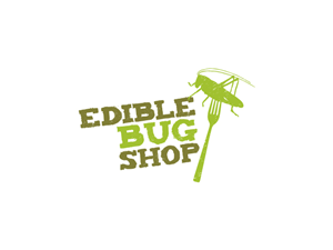 Logo Design by Hoopoe
