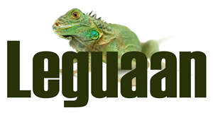 Logo Design by David Aragon