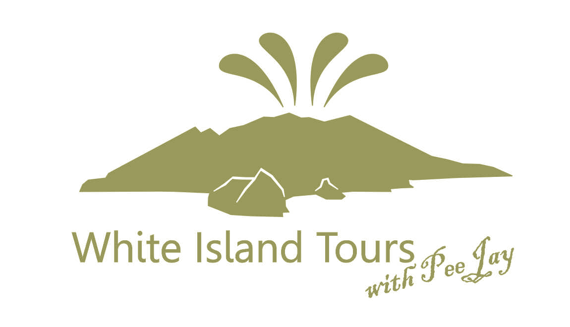 Logo Design by meshine00 for White Island Tours | Design #993547
