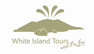 Logo Design by meshine00