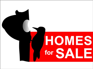 Logo Design by Kehinde bereola for this project | Design: #107012