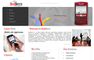 Web Design by amritanshu khare