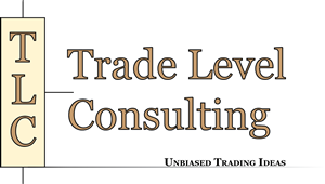 Logo Design by Graphic Design - NM