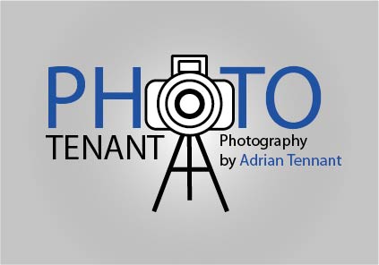 Logo Design by bayuazni for this project | Design #941372