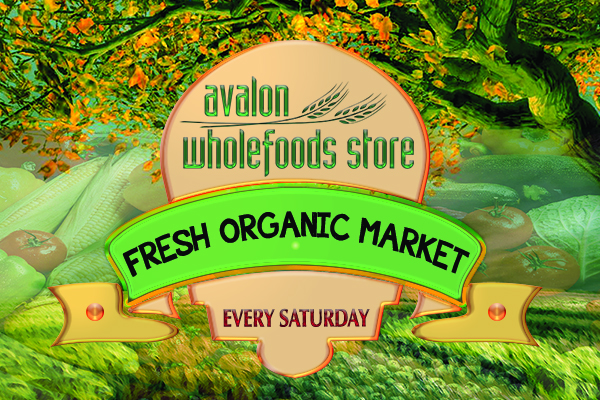 Banner Ad Design by BEyond Excellent for this project | Design #946920