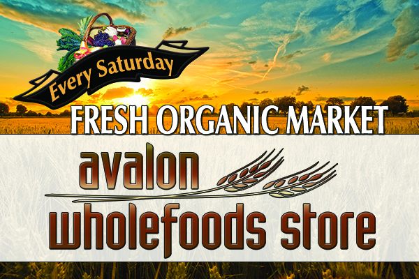 Banner Ad Design by BEyond Excellent for this project | Design #946935