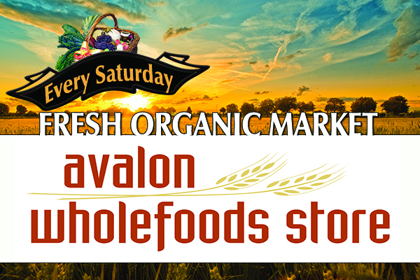 Banner Ad Design by BEyond Excellent for this project | Design #946940