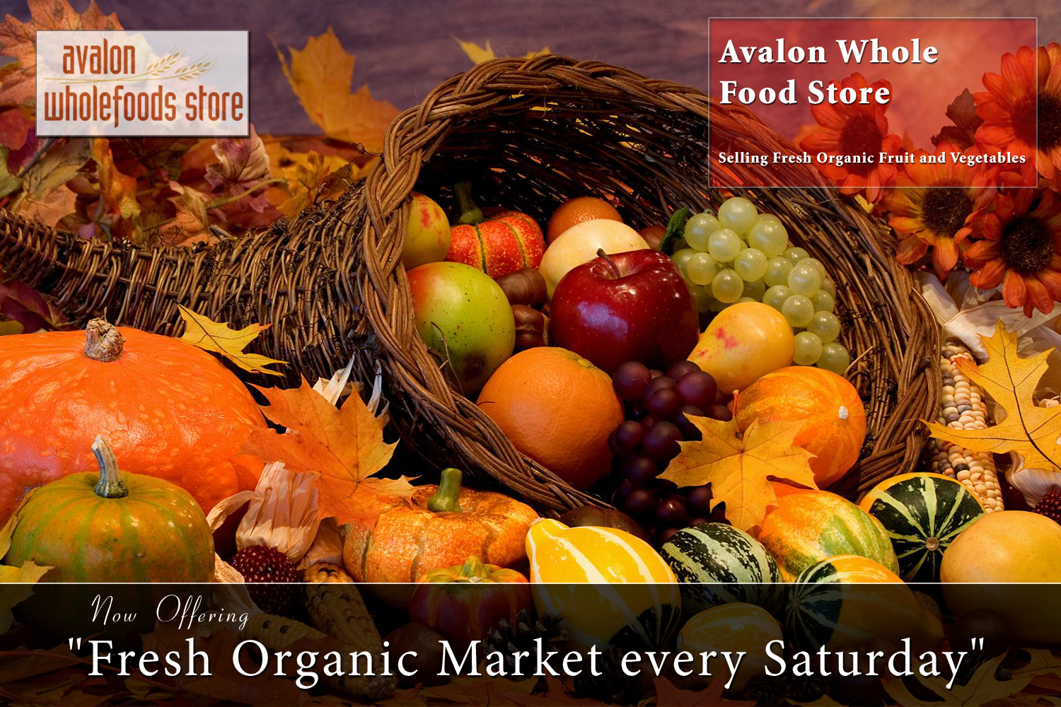 Banner Ad Design by Zohair Shah for this project | Design #948956