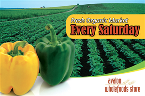 Banner Ad Design by Maya Dadgar