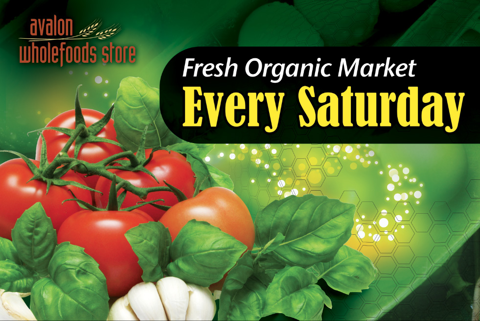 Banner Ad Design by Maya Dadgar for this project | Design #950229