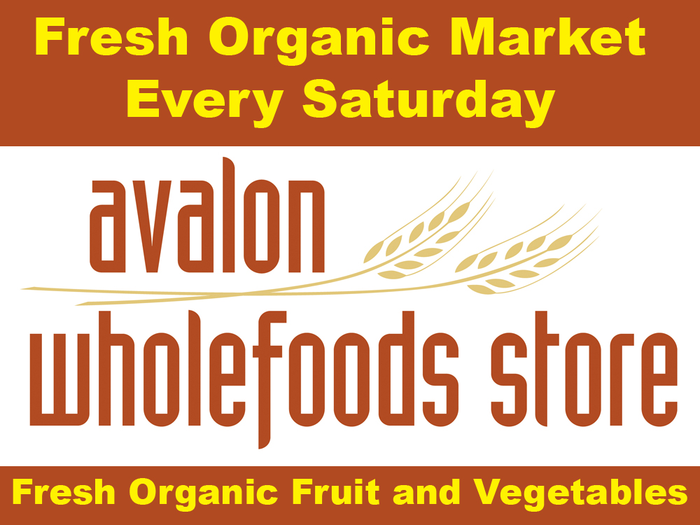 Banner Ad Design by Darpalli for this project | Design #945225