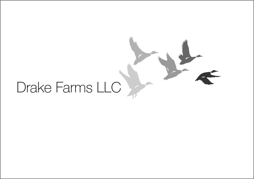 Logo Design by luluAust for this project | Design #3127681