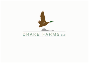 Logo Design by luluAust for this project | Design #3140132