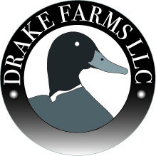 Logo Design by EMPERADOR for this project | Design #3135768