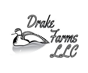 Logo Design by avdeeva.alex