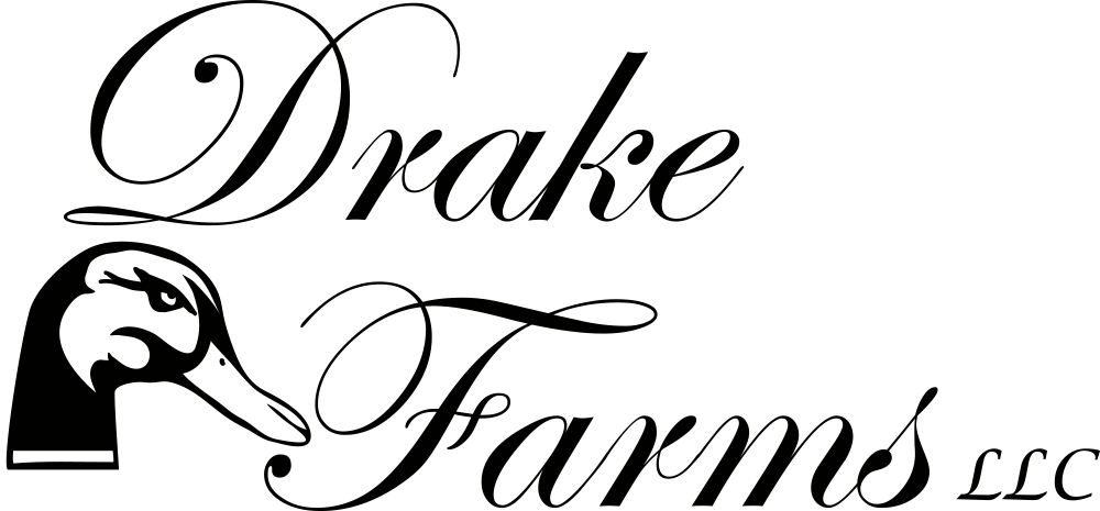 Logo Design by Matrixmermaid for this project | Design #3126021