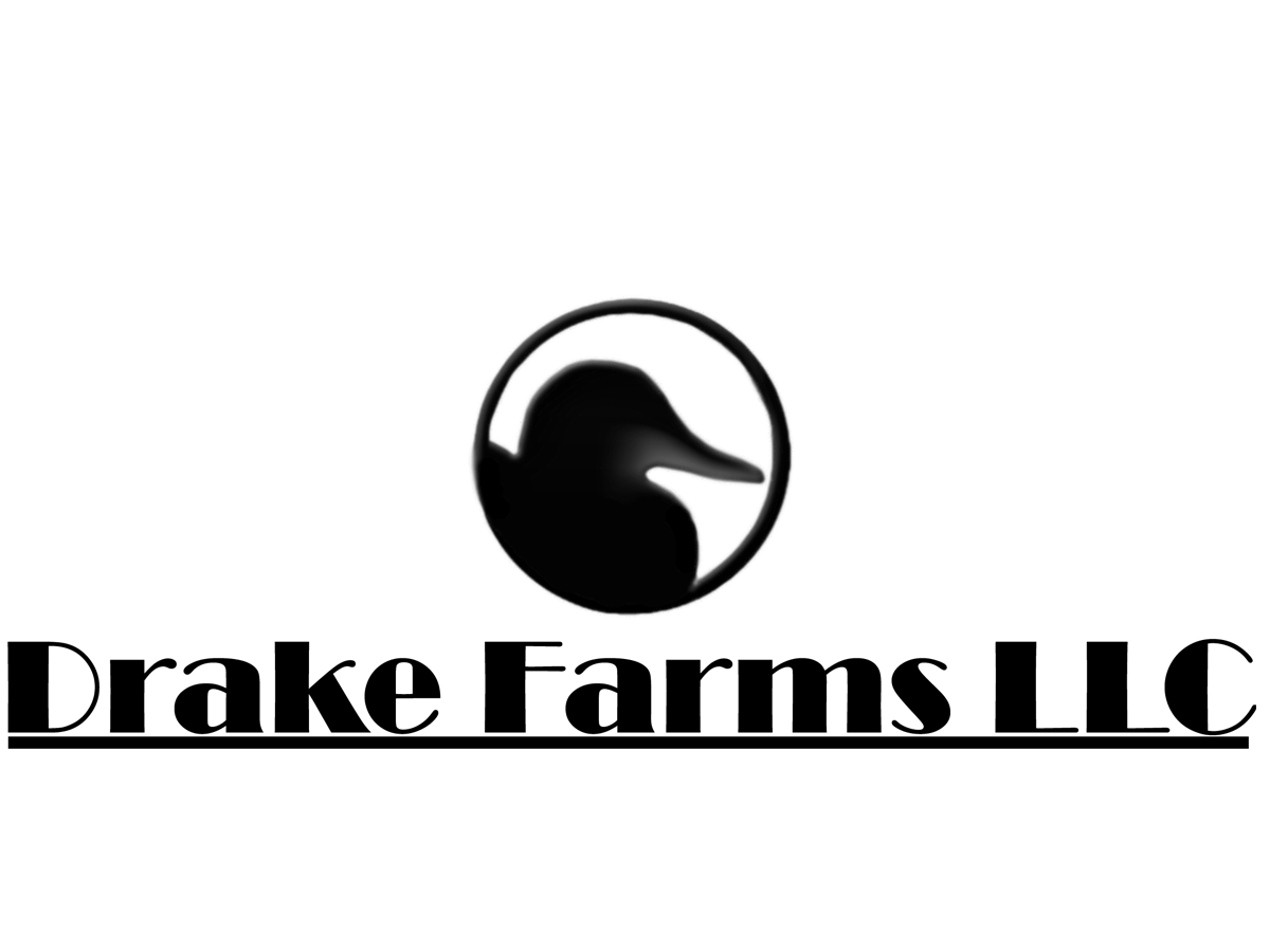 Diseño de Logo por yasara para este proyecto | Diseño #3112461
