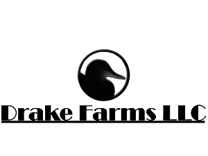 Diseño de Logo por yasara para este proyecto | Diseño: #3112461