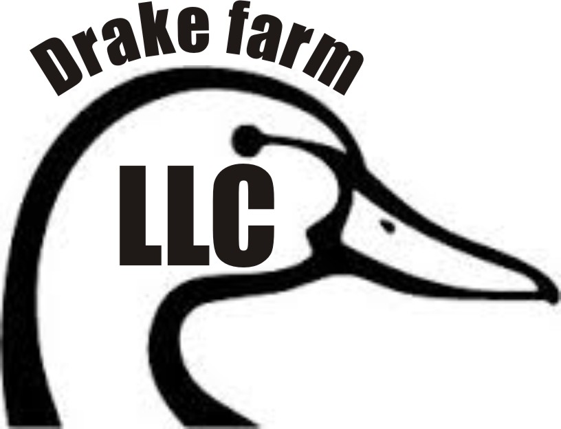 Logo Design by Nucklearminde for this project | Design #3108778