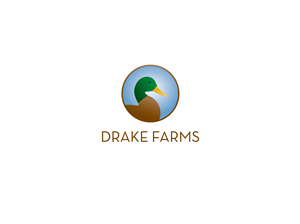 Logo Design by bluejet for this project | Design #3126177