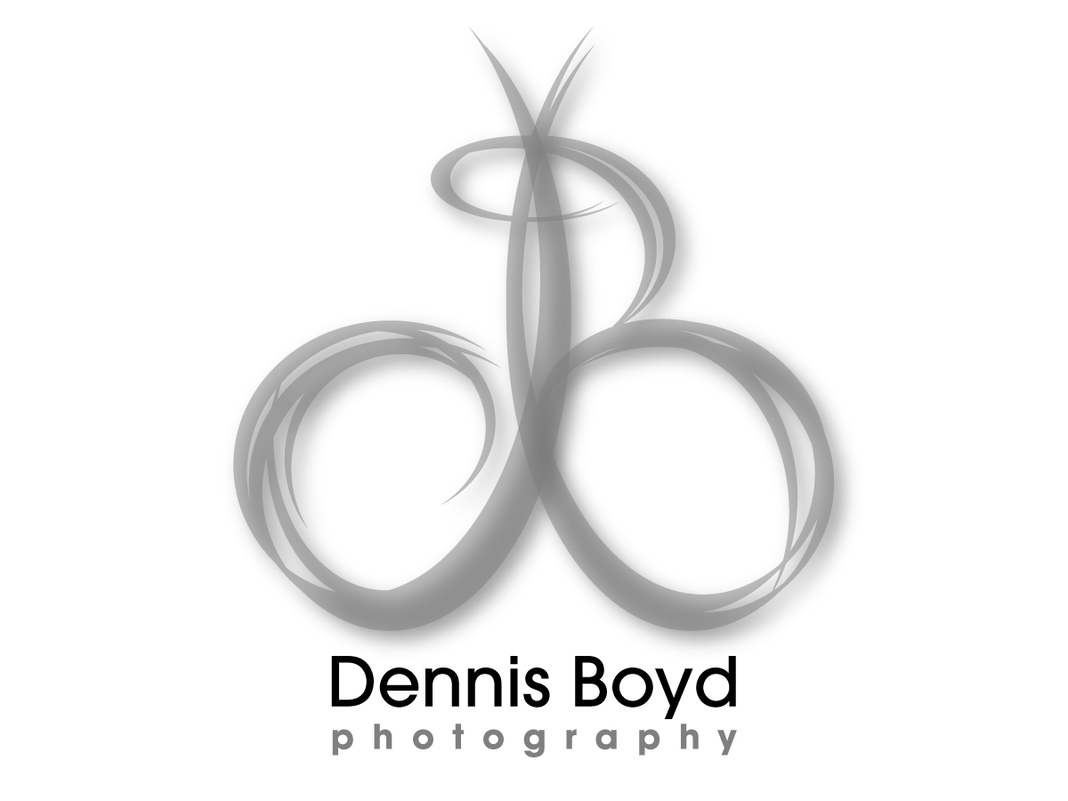 Logo Design by Katyas Art and Design for db photo | Design #954701