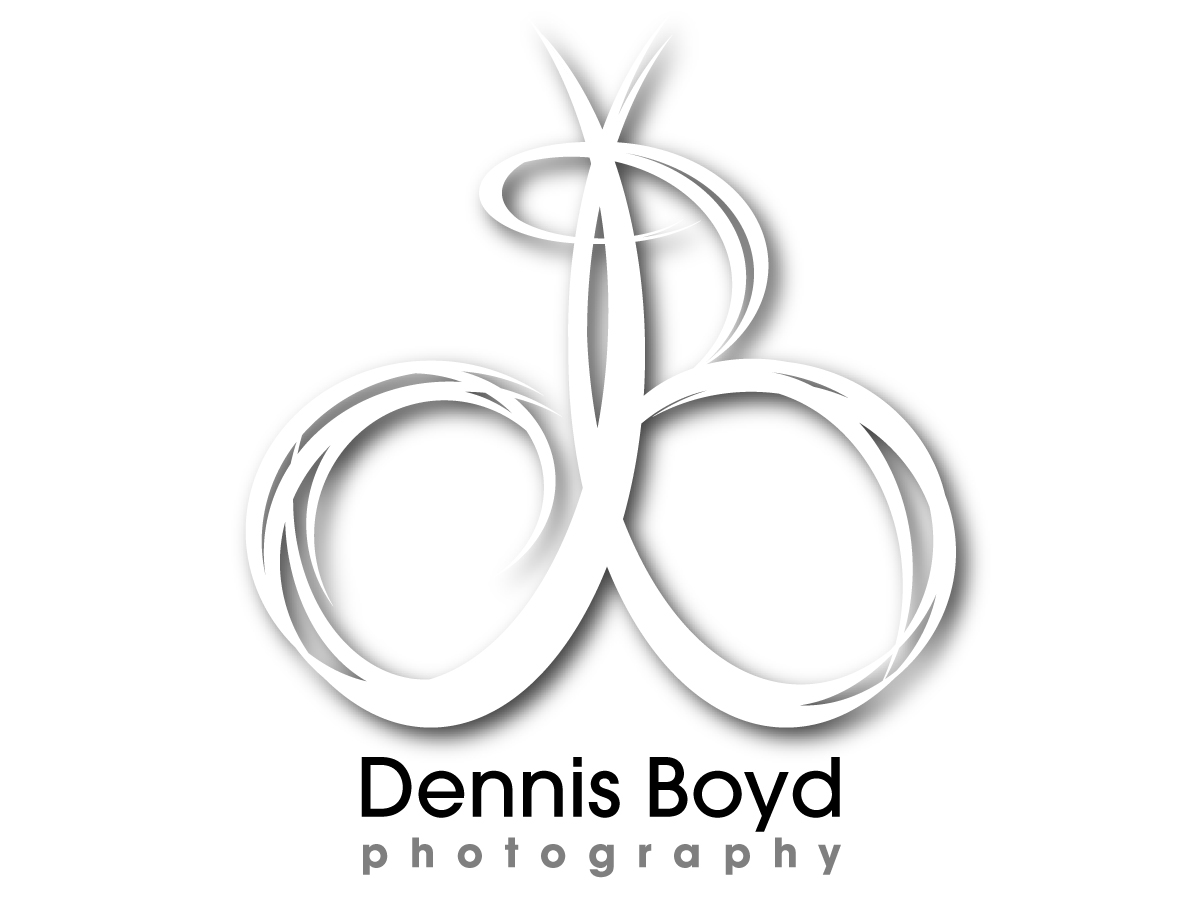 Logo Design by Katyas Art and Design for db photo | Design #954718