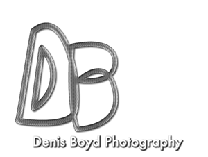 Logo Design by dzsine for db photo | Design: #963943