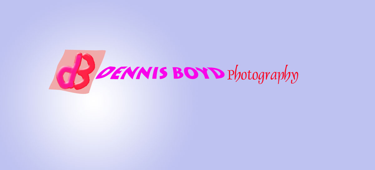 Logo Design by ObabsDESIGN Studio for db photo | Design #961406
