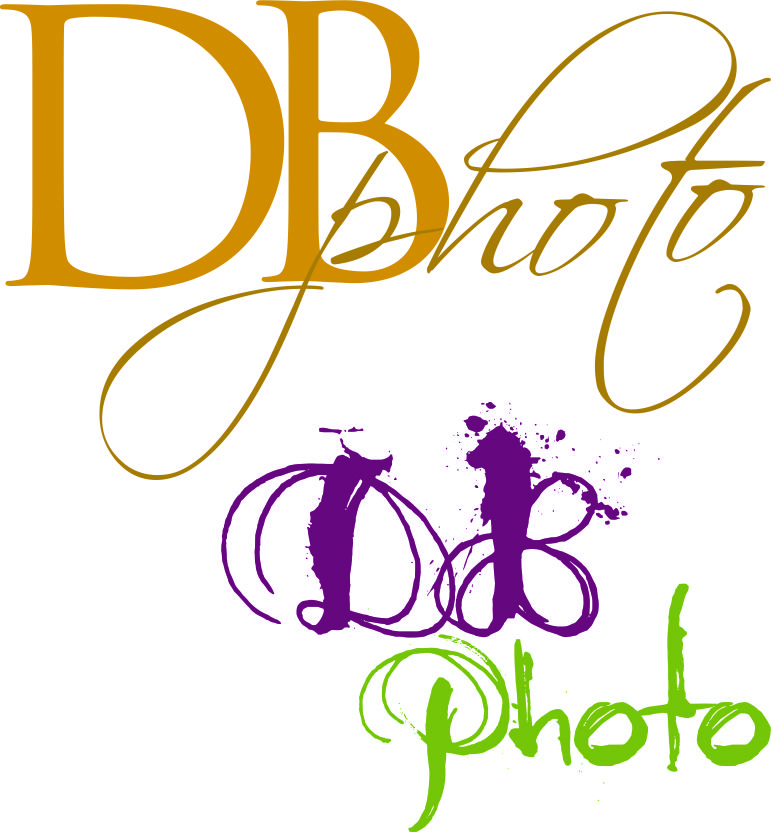 Logo Design by Sandro for db photo | Design #953351
