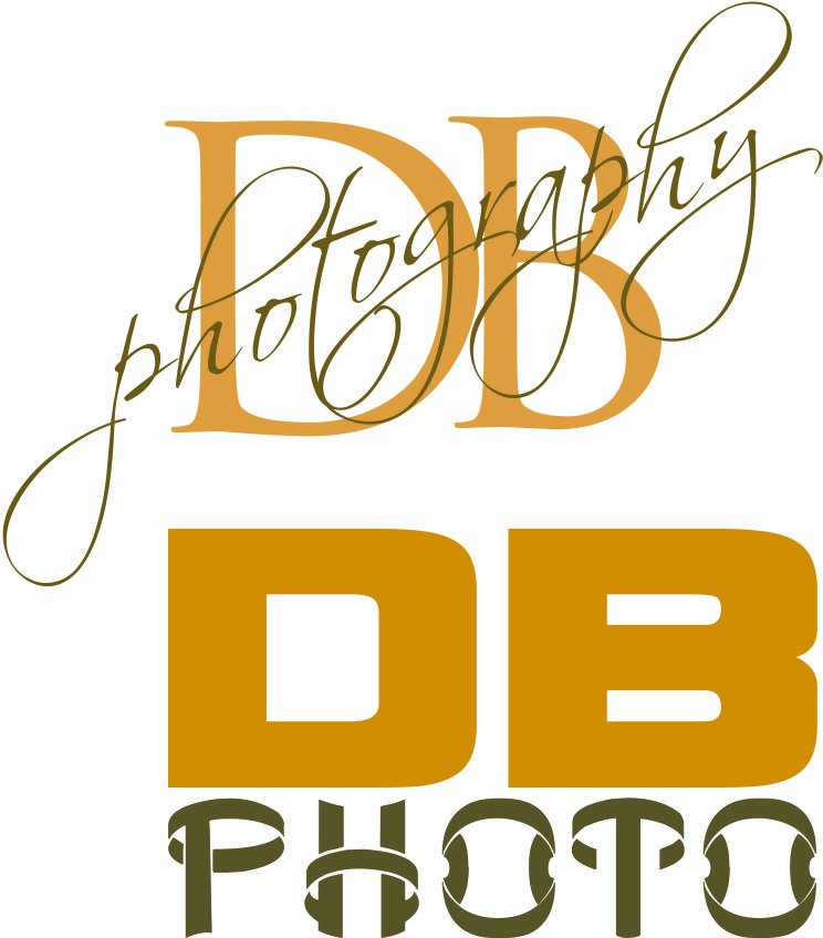 Logo Design by Sandro for db photo | Design #955001