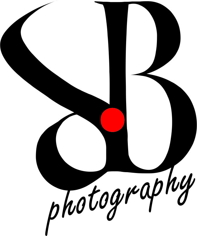 Logo Design by Sandro for db photo | Design #956465