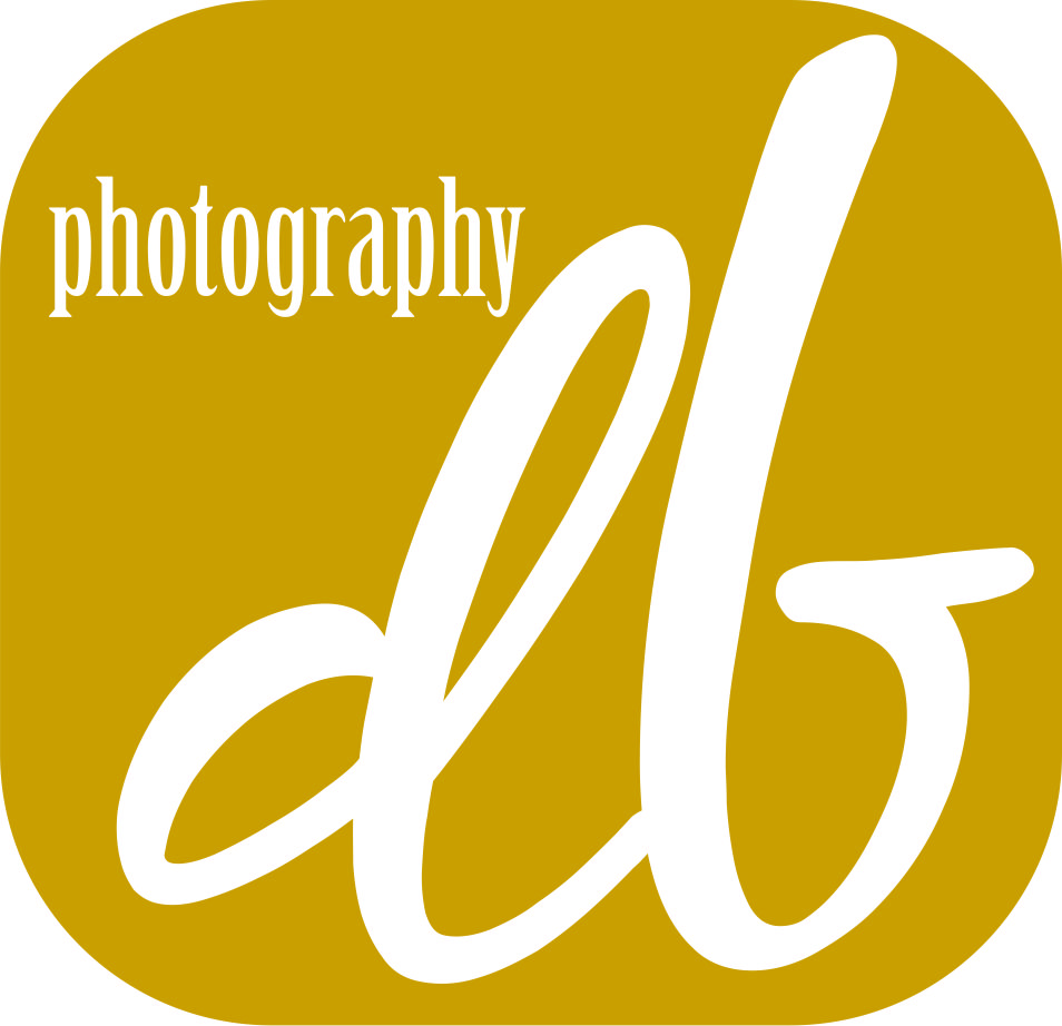 Logo Design by Sandro for db photo | Design #956570